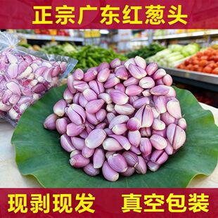 广东去皮红葱头新鲜剥皮葱头餐饮店用香料干葱头小香葱火葱红葱