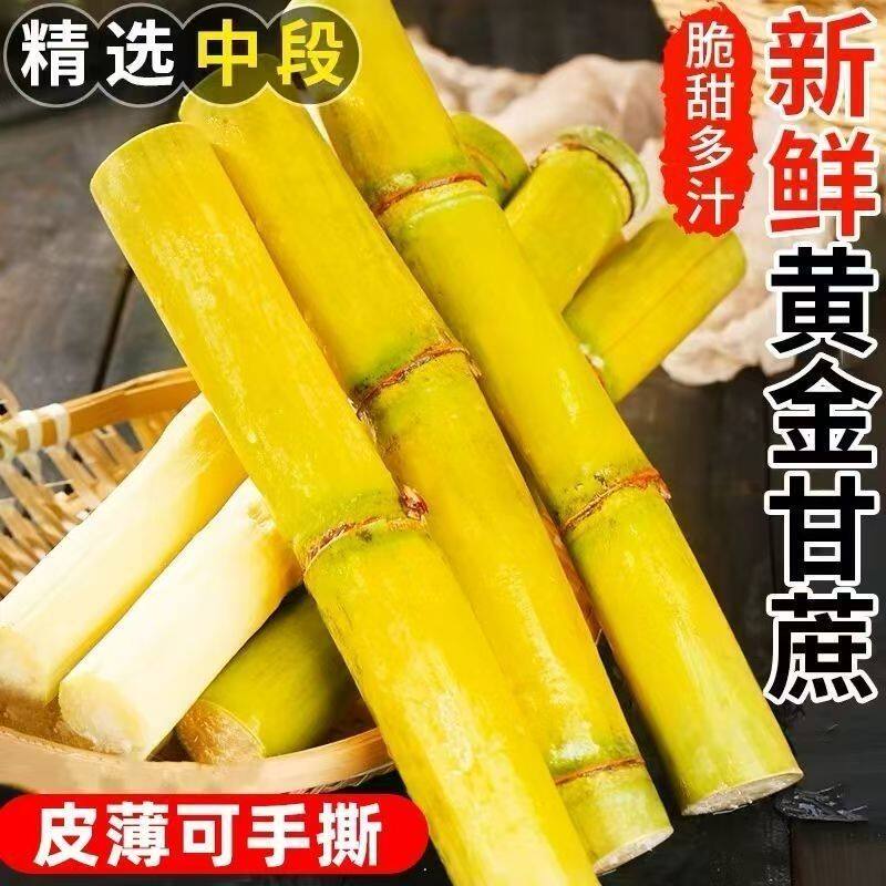 广东黄皮甘蔗新鲜水果当季脆甜黄金甘蔗农家自种现砍非黑皮甘蔗