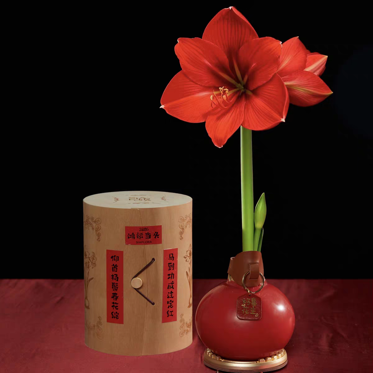 【马年注定红】SIAFLORA圣诞新年礼盒装传递幸福,节庆用品/礼品,春节礼盒,淘宝优惠券,粉丝福利购,淘宝优惠卷