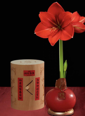 【马年注定红】SIAFLORA圣诞新年礼盒装传递幸福