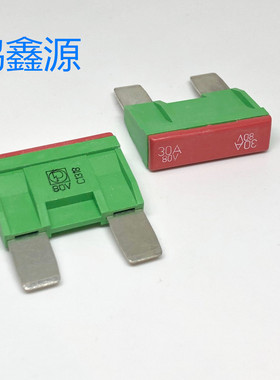 166.6885.5301 PUDENZ德国进口汽车大号保险管丝 30A 80V