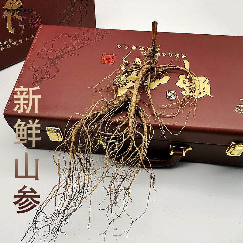 顺丰包邮带土高龄鲜山参林下参礼盒新鲜人参送礼泡酒煲汤