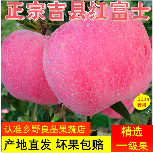 山西吉县红富士苹果当季新鲜一级