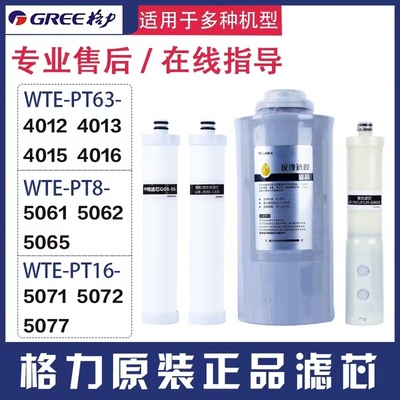 格力净水器PT63-4012 4013PT8-5062 5065 PT16-5075072净水机滤芯