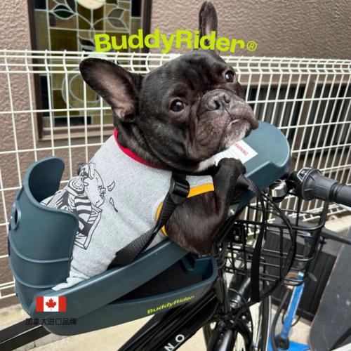 BuddyRider法斗波士顿梗犬大行小布折叠自行车山地车宠物安全座椅