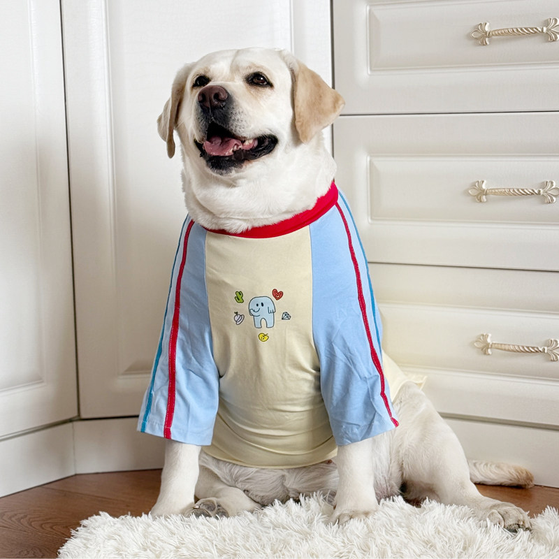 拉布拉多衣服潮牌大型犬夏季薄款衣服金毛大狗防感冒纯棉衣服夏