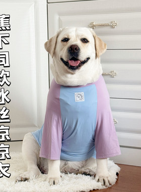 夏季冰丝防晒拉布拉多凉凉衣