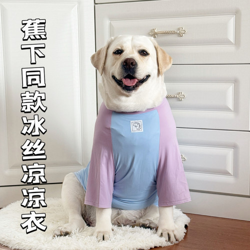 夏季冰丝防晒拉布拉多凉凉衣