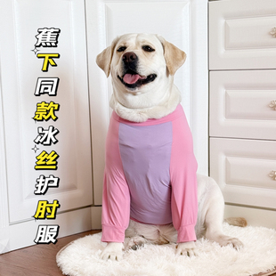 大型犬护肘服拉布拉多金毛护肘衣服夏冰丝衣服肘部保护衣服关节服