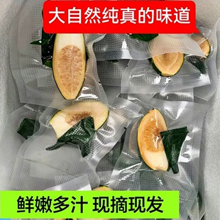 海南陵水青槟榔生槟榔果现摘鲜嫩槟榔500克散装生槟榔带配料包邮