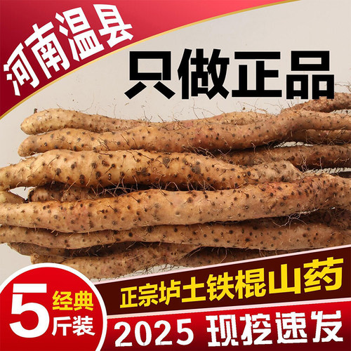 河南焦作温县怀淮垆土铁棍山药