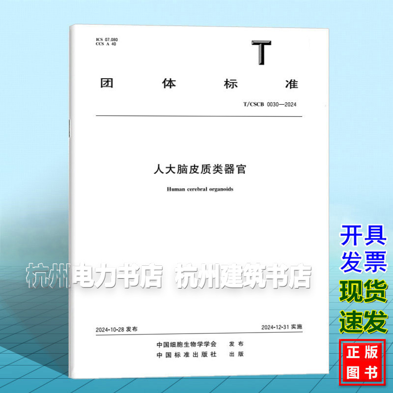 T/CSCB 0030-2024 人大脑皮质类器官