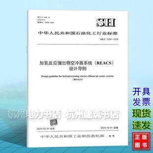 REACS 3228 加氢反应馏出物空冷器系统 设计导则 2024