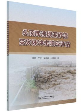 头顶库溃坝泥砂流受灾体冲击响应评估 蔡红 严俊 吴帅峰