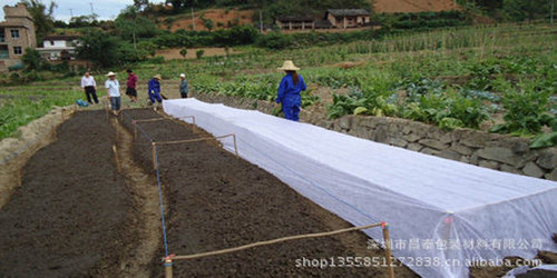 昌泰无纺布防寒，防水