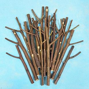 原木片小树杈干树枝幼儿园diy手工森系挂饰低结构材料环创装饰品