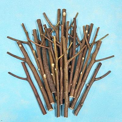 木片小树杈干树枝幼儿园diy手工