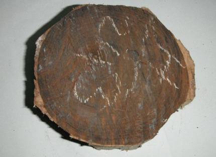 老挝大红酸枝笔筒木料酸枝工艺笔筒料酸枝雕刻料红木老料S-574