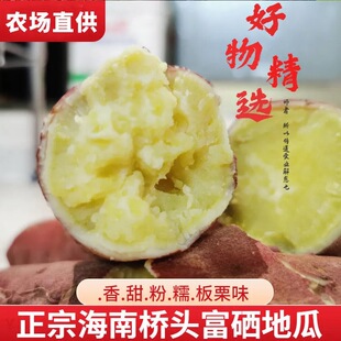农家人 海南澄迈桥头农户地瓜 澄迈桥头富硒地瓜10斤新鲜沙地板栗