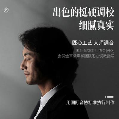 音C调口琴音专业成人高端孔24孔初学入门德国进口学生28演奏复簧