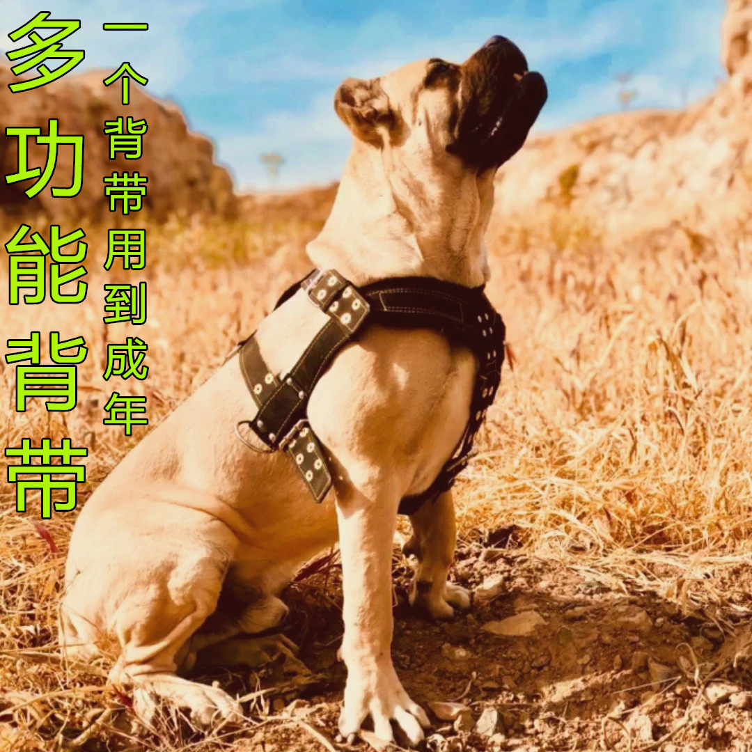马犬德牧大型狗比特犬训练装备棉防磨背带胸带牵引肩背带狗拉车