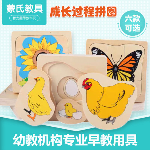 多层拼图成长过程发育蝴蝶教具