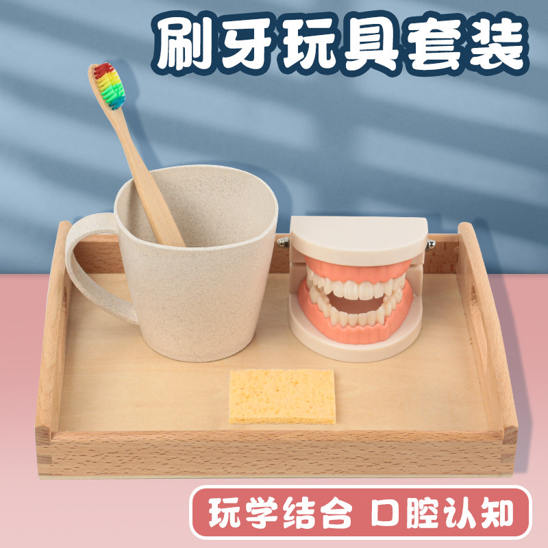 蒙氏教具2-6岁儿童牙齿模型幼儿园刷牙洗漱套装认知早教益智玩具