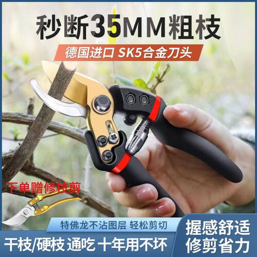 德国进口艺园剪刀粗枝省力果树剪枝家用花草修枝专用修剪工具剪子