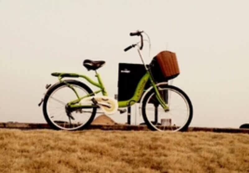 Panier pour vélo - Ref 2260739 Image 5