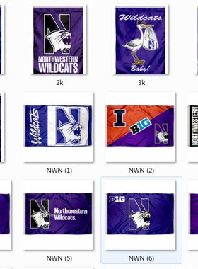 Northwestern University House Flag北伊利诺伊大学旗帜