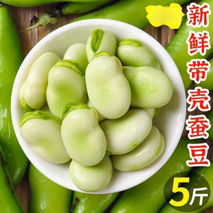 甘肃农家新鲜冷速冻嫩大白蚕豆胡豆米罗汉豆佛豆青豆蔬菜餐饮商用