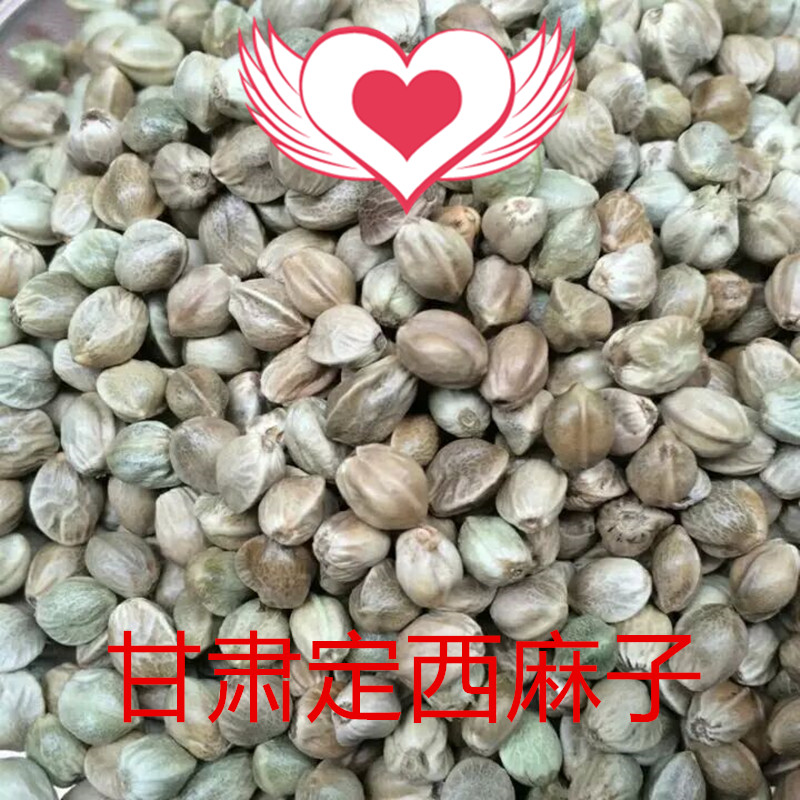 甘肃定西新产熟麻子    休闲零食坚果    500g包邮
