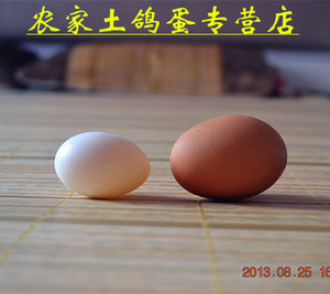 30枚 超大个新鲜双黄鸽子蛋  散养双黄土鸽蛋 极珍贵！包邮顺丰