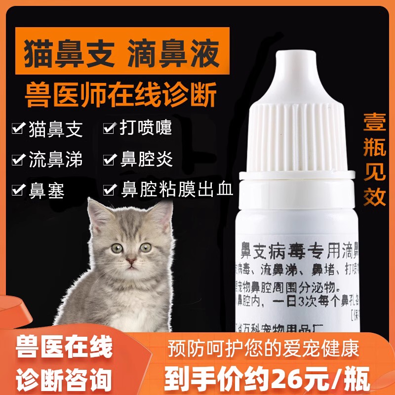 猫鼻支消炎专用特效眼药水猫咪感冒打喷嚏流鼻涕猫鼻支鼻炎滴鼻液 宠物/宠物食品及用品 眼部清洁 原图主图