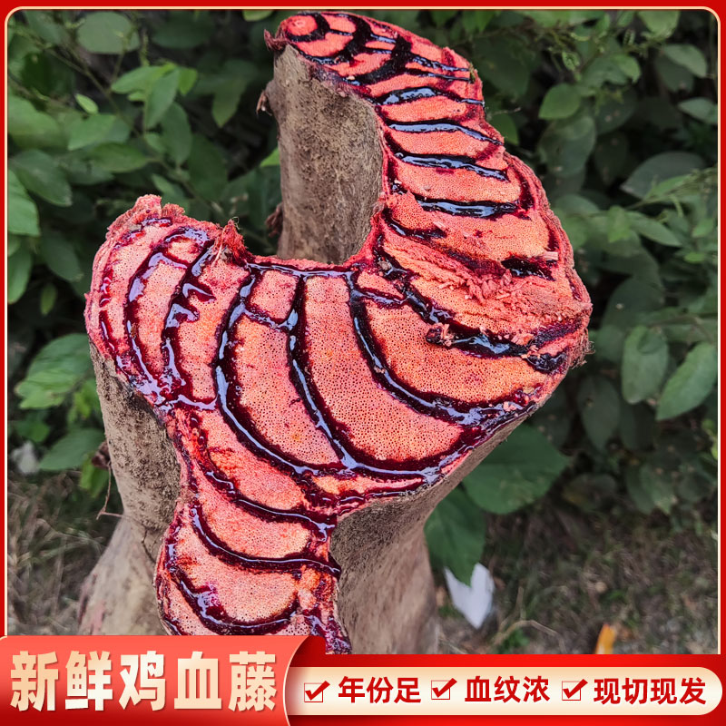 广西野生新鲜鸡血藤中药材草药老鸡血藤500g泡酒泡水煲汤