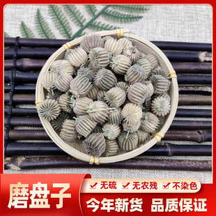 野生中药材磨盘子磨盘草果子磨盘籽苘麻子磨盆子新鲜干货50g包邮