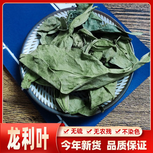 广西野生龙利叶中药材 龙利叶龙俐叶龙舌叶 龙脷叶牛耳叶500g包邮
