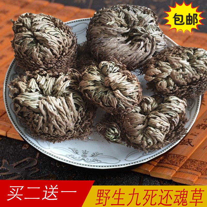 九死还魂草天然250g包邮