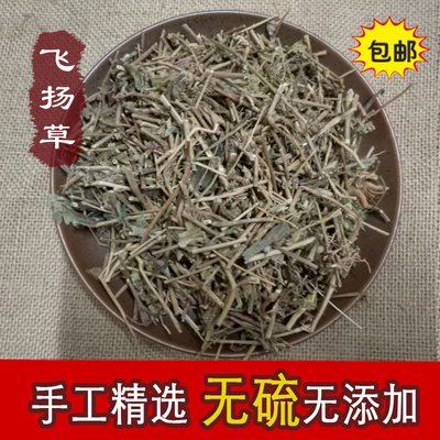 大飞扬草 新货飞扬草500克包邮