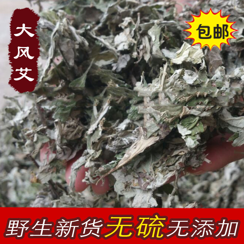 广西野生中药材大风艾 艾纳香草 牛耳艾大风叶大枫草一斤包邮