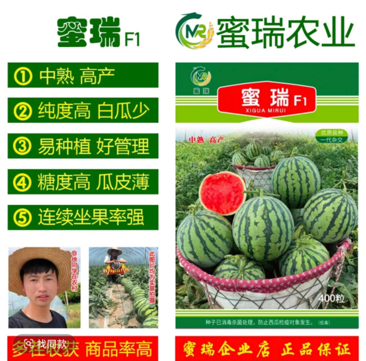 蜜瑞西瓜种子，中熟高产，抗病性强，400粒一包正品保证