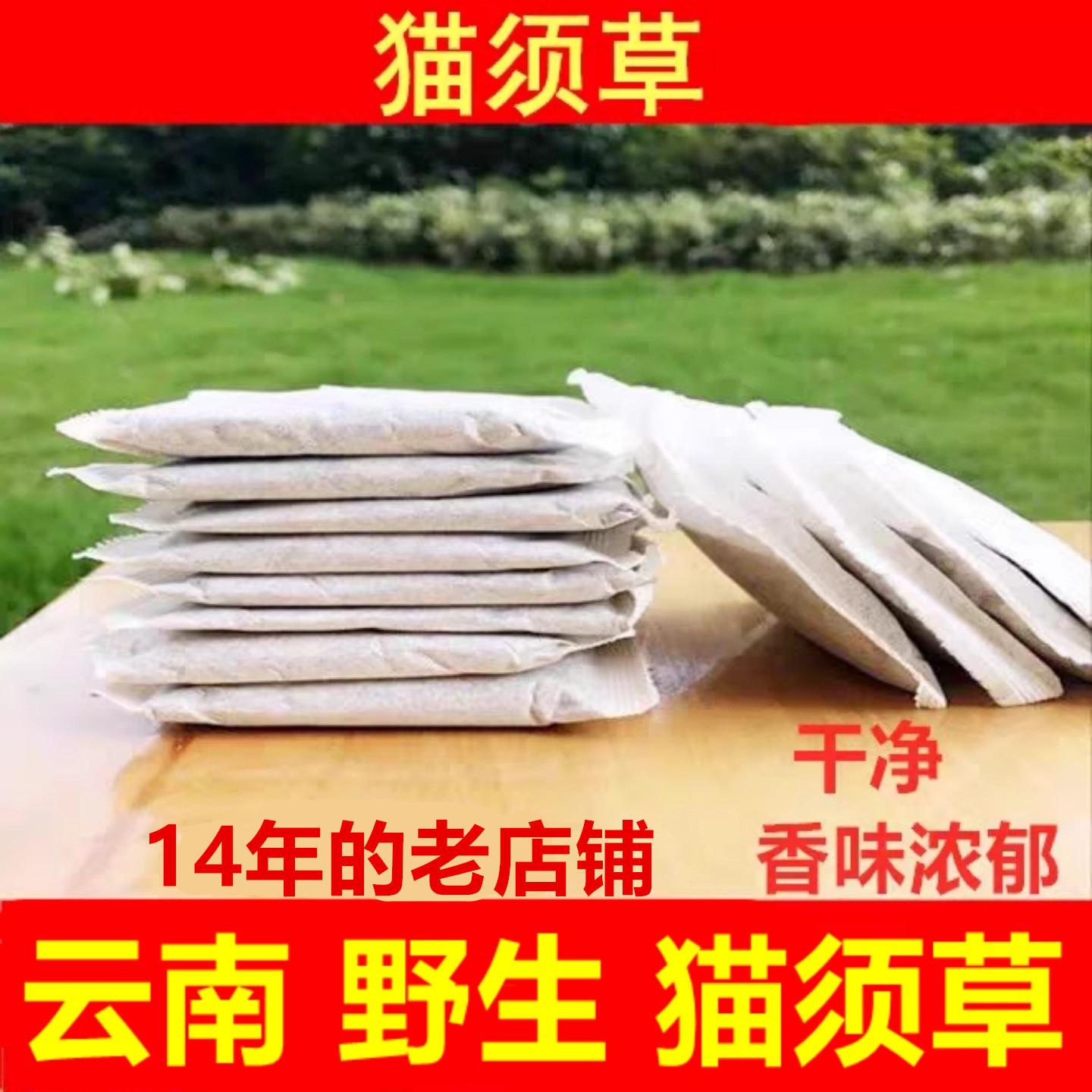 云南野生猫须草肾茶化石草袋泡