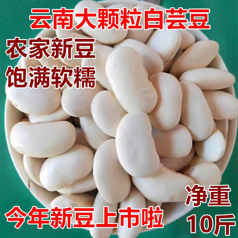 云南特产白芸豆5斤大白云豆扁豆农家自产配红芸豆红腰豆煲汤原料