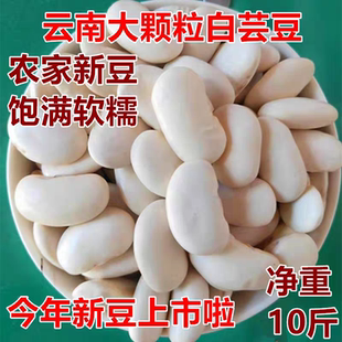 云南特产白芸豆5斤大白云豆扁豆农家自产配红芸豆红腰豆煲汤原料