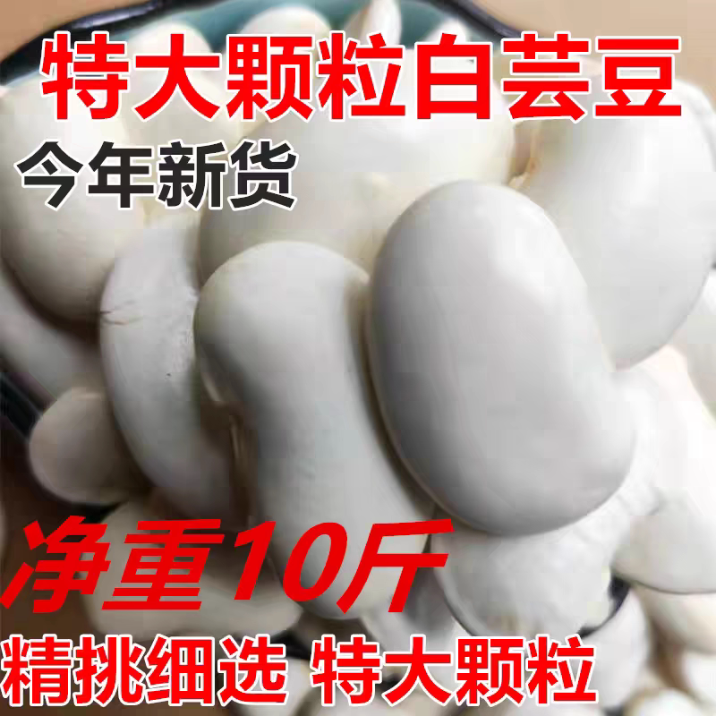 云南特产特大颗粒白芸豆3斤扁豆农家自产配红芸豆红腰豆煲汤原料