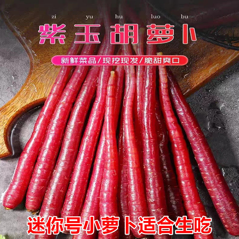 云南特产新鲜水果紫玉手指胡萝卜新鲜水果萝卜甜脆水果型即食蔬菜,水产肉类/新鲜蔬果/熟食,萝卜/胡萝卜,淘宝优惠券,粉丝福利购,淘宝优惠卷