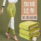 2025新款 棉裤 高腰过冬秋裤 秋冬内穿羊羔绒打底裤 女加绒加厚保暖裤