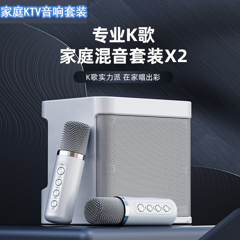 POLVCDG/铂典 YS-203家庭ktv音响套装 蓝牙k歌音箱卡拉ok麦克风