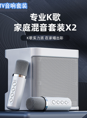 POLVCDG/铂典 YS-203家庭ktv音响套装 蓝牙k歌音箱卡拉ok麦克风