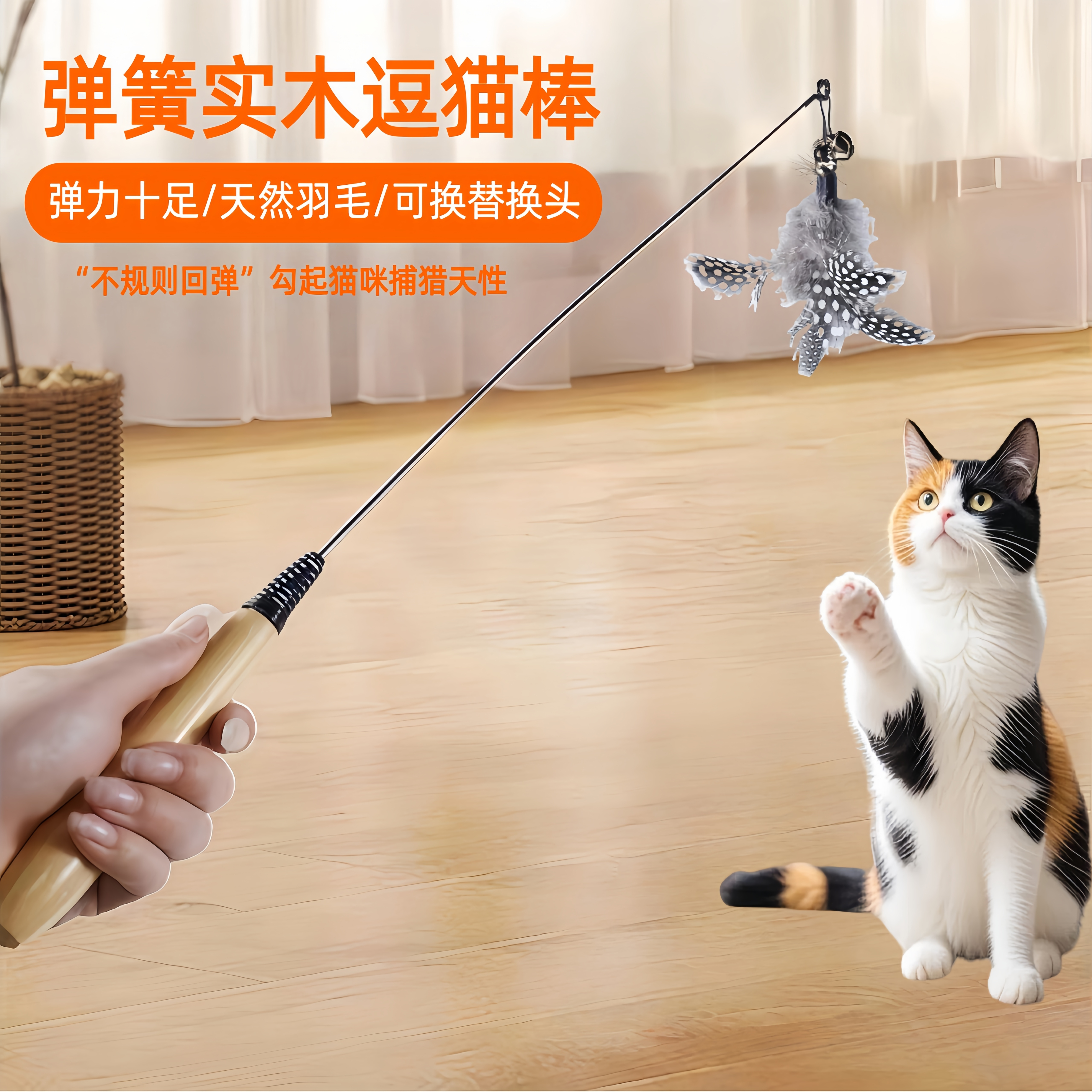 逗猫棒木柄弹簧CFA赛级羽毛替换头耐抓咬猫玩具解闷宠物用品